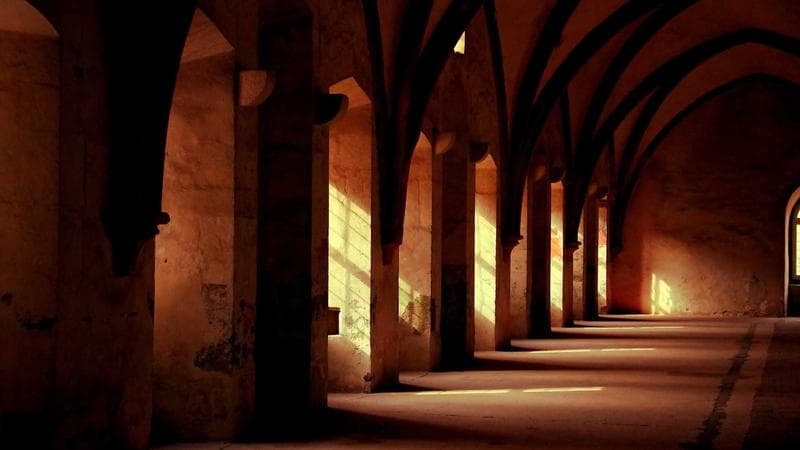 Digital Privacy for Researchers and Students: Managing Gated Citations and Academic Repositories